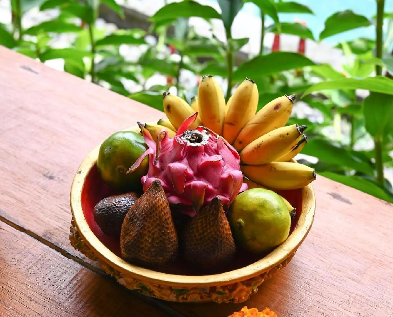 Gami Ubud Villa Indonésia